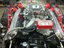 I used the LS1 controller box from MSD, Edelbrock  intake