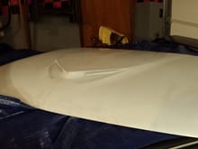 I got this hood for my S10 off craigslist for $50
