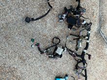 1991 Mustang GT main harness out.
