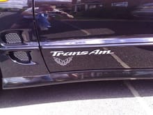 Decal: Transam vinyl overlay, and firebird decal i had made for me in 2002 which is still like new. this picture was taken in 2007