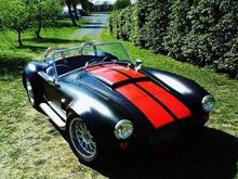 cobra