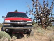 The Big Red Truck with a Shoe Tree out in the desert