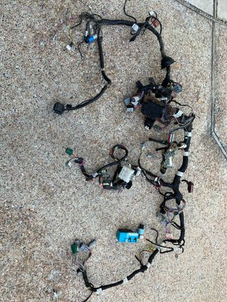 1991 Mustang GT main harness out.