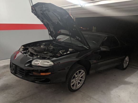First oil change done by me. 