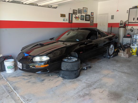 How she sits, minus the floor dry everywhere, till next time. 