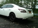 2011 White Nissan Maxima Premium Tech