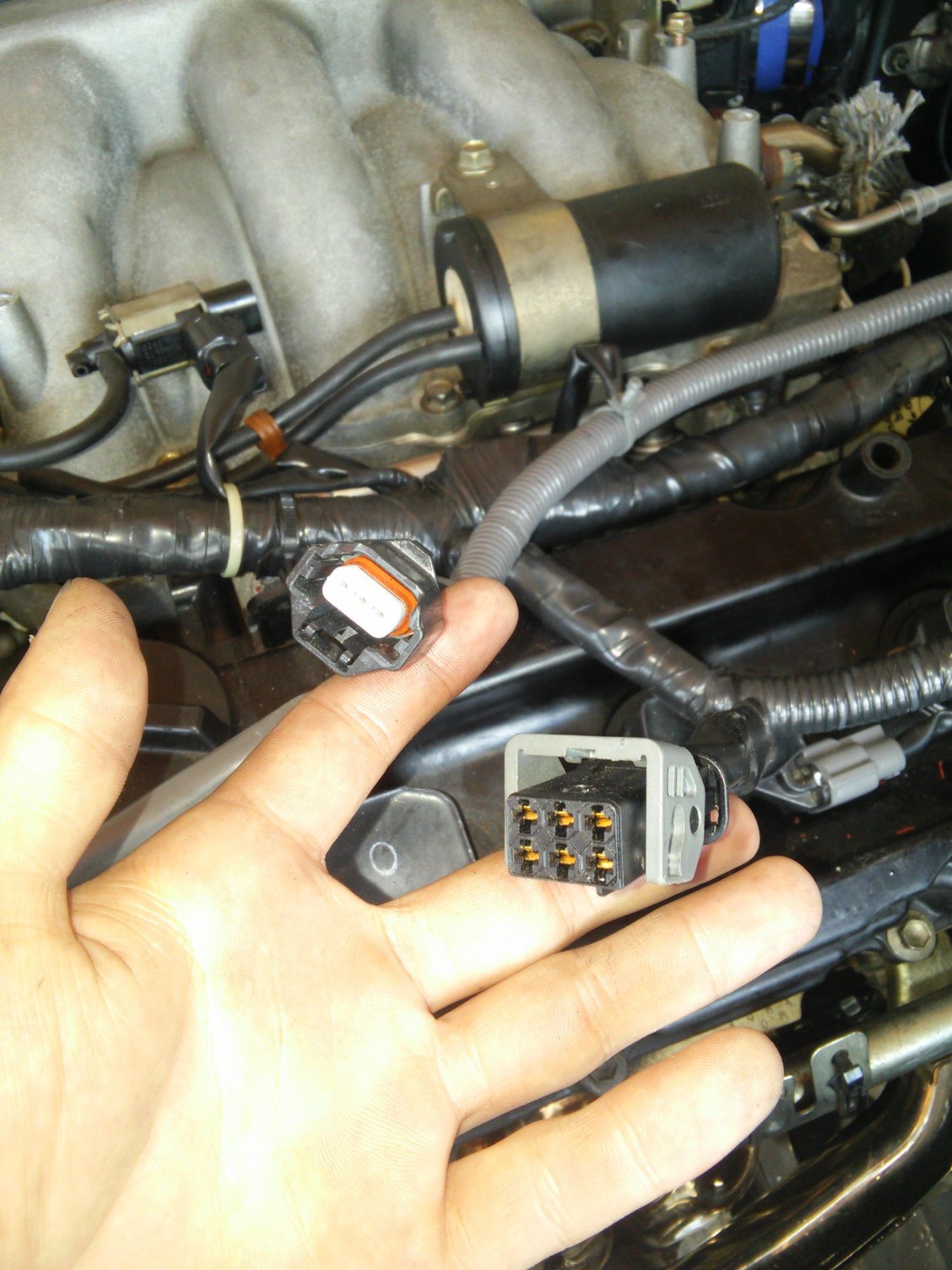 Unknown Plugs On Vq35de Wiring Harness That Go Over Each Cam Cover