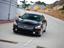 2009 Maxima and past cars