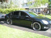 The Whip