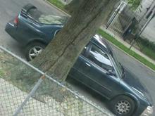 out my window =]