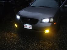 lexus fogs with heads.. stock bulbs w/out glare gaurds tinted yellow lens