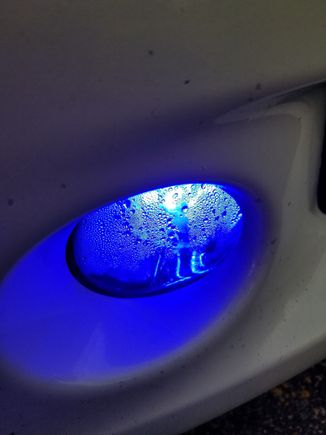 Blue Lite