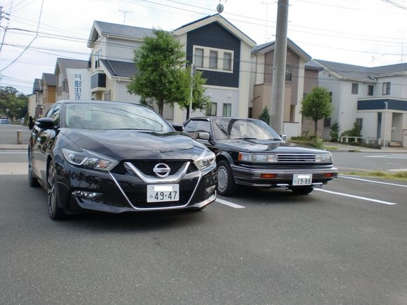 Introduce my max from Japan.