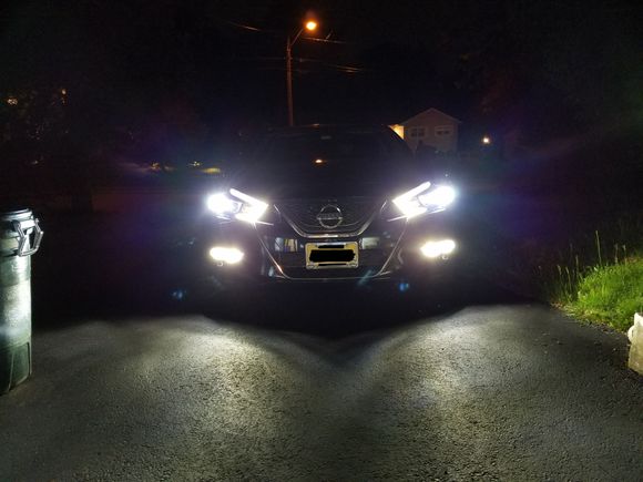 Night shot