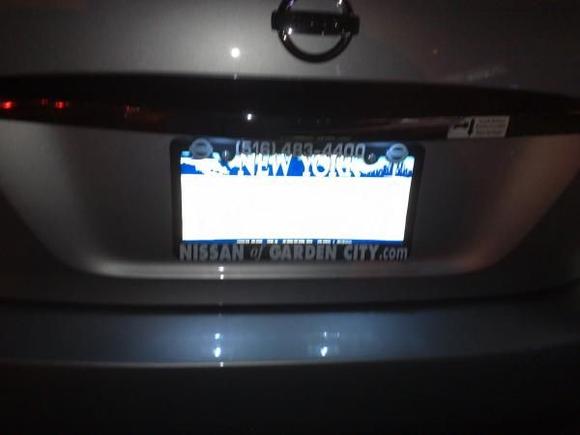 License plate lights