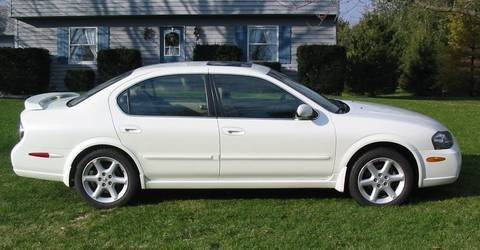 Bone stock '05