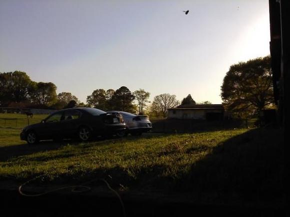 the family cars, stupid bee in the pic
