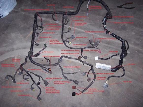 all wiring or maxima 89 94