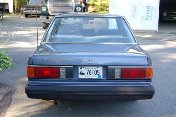 maxima 006