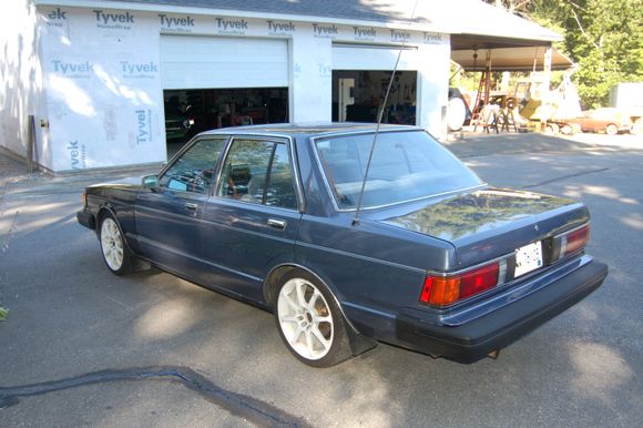 maxima 005