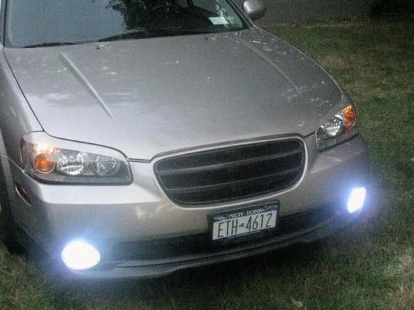 10k HID fogs