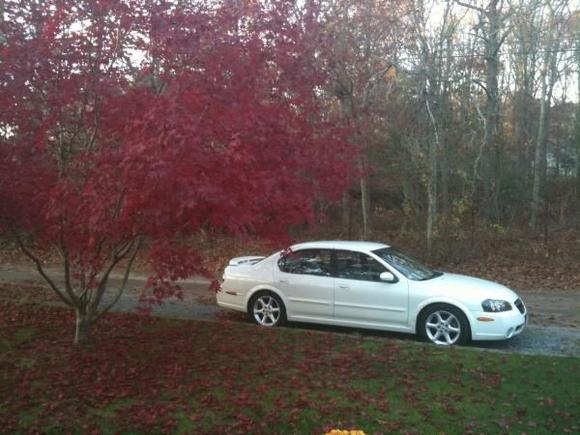 my old maxima... 02 3.5 auto.