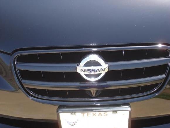 116 1/ Painted the grille with Fusion Gloss Black Paint