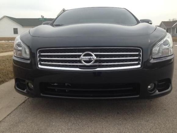 Maxima nose