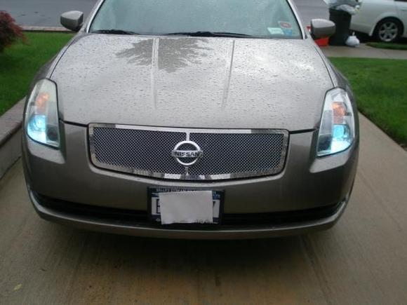 E&amp;G Mesh Grill