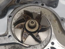 Water pump after 250k miles.  Amazing.