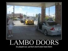 "Lambo" doors