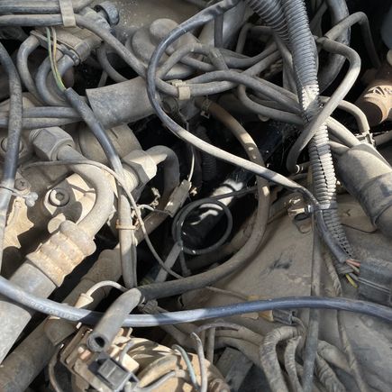 Nest of hoses