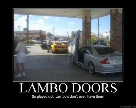 "Lambo" doors
