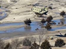 Air dropping hay to Cattle 