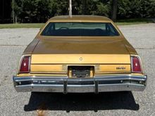 I like big butts and i cannot lie !