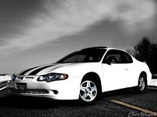 My monte with purple stripes.  Took this photo for my Photography class!(cant see the purple that well tho because of the way it was edited)