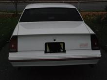 Rear Shot
