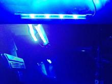 Custom Blue Courtesy/Footwell LED Strips and Million Color Interior Neon Stips (Set to Blue)