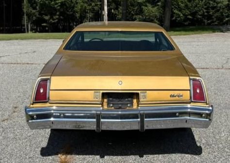 I like big butts and i cannot lie !