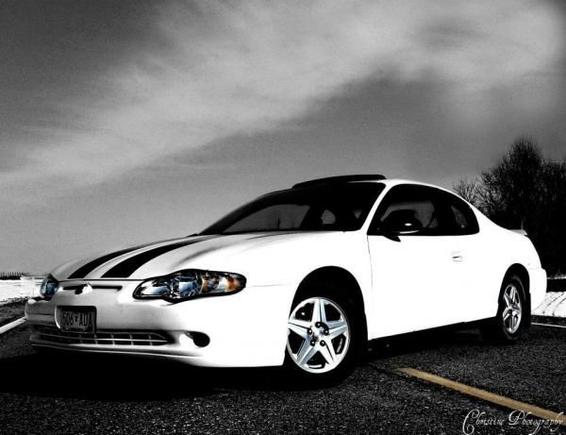 My monte with purple stripes.  Took this photo for my Photography class!(cant see the purple that well tho because of the way it was edited)