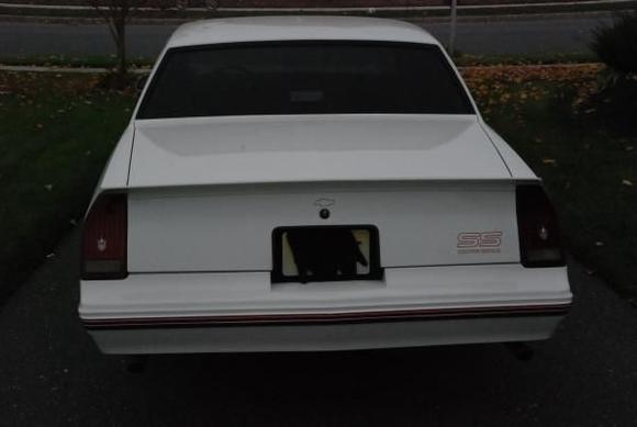 Rear Shot