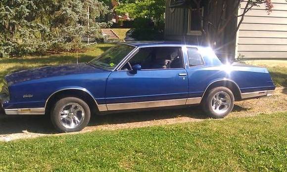 84MONTE