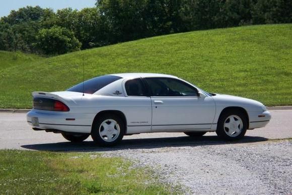1995Monte grass
