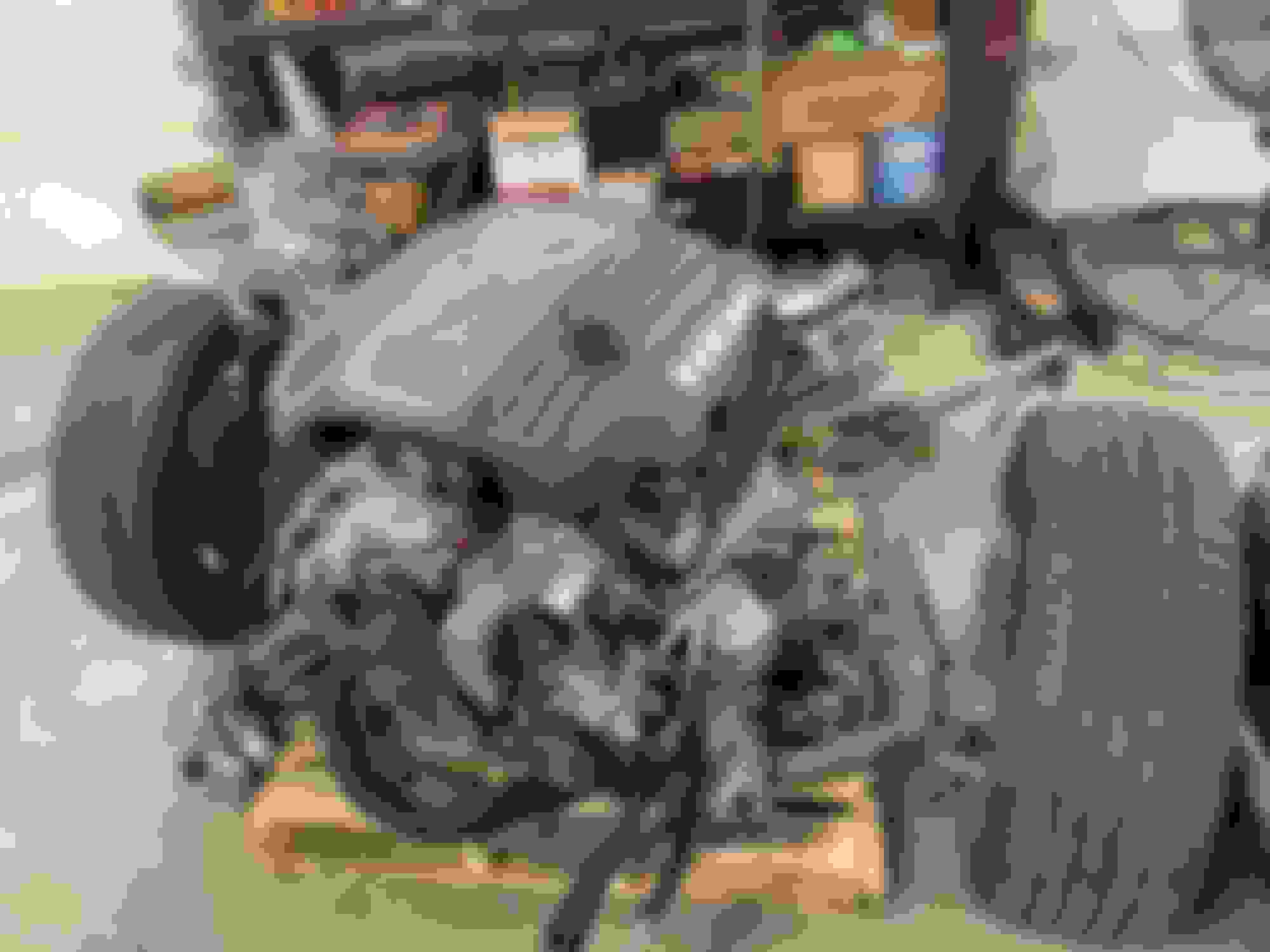 2017 5.7 Hemi 8spd. And Complete wiring harness with module. Mopar Forums