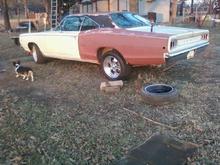 My new wheels. American racing 17" hopster wheels wrapped with brand new rubber Nitto tires.