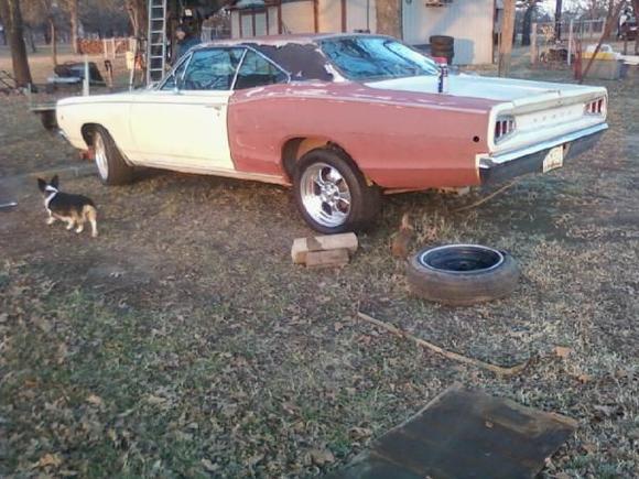 My new wheels. American racing 17" hopster wheels wrapped with brand new rubber Nitto tires.