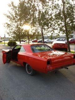 roadrunnerback