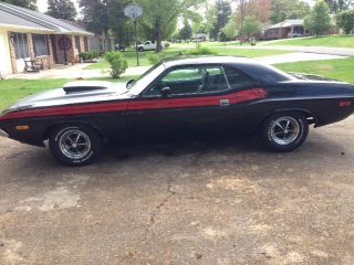 The stripe really made it stand out.