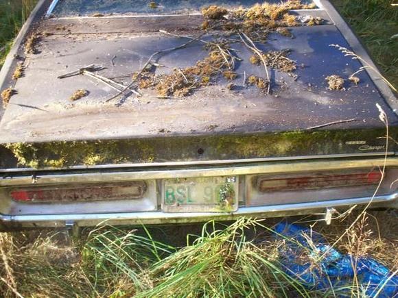 This is the rear end as it sat in the field where I found it