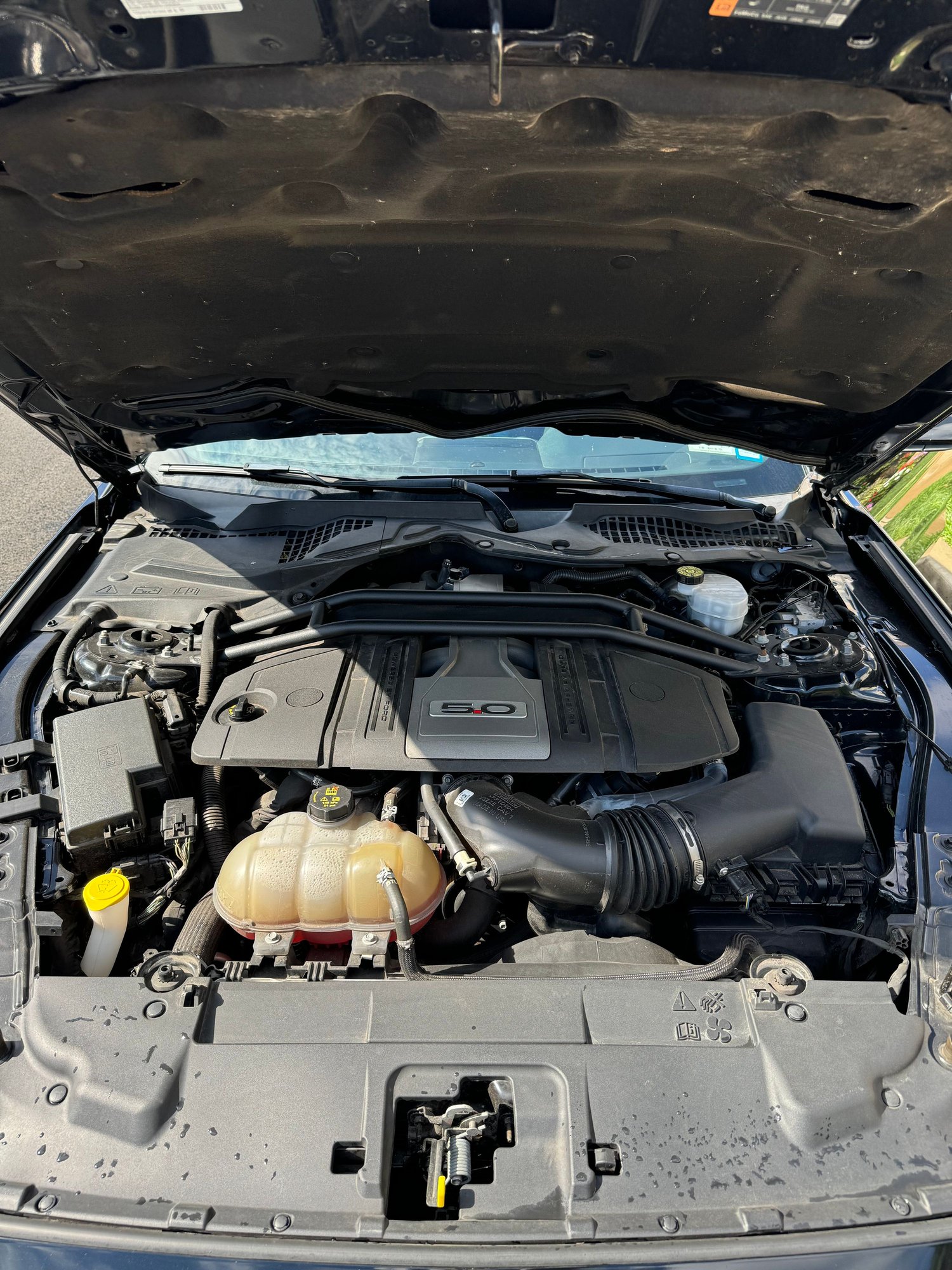 2019 Ford Mustang - 2019 Ford Mustang GT - Used - VIN 1FA6P8CF3K5195821 - 36,000 Miles - 8 cyl - 2WD - Manual - Coupe - Black - Staten Island, NY 10309, United States